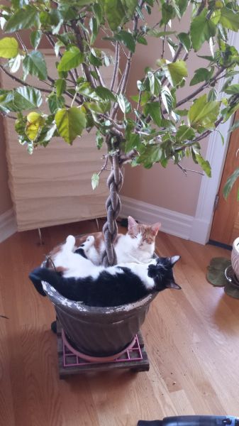 morning picdump 58 pics 24.html - 58 HD Photos | Premium Gallery 2014