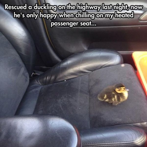 morning picdump 58 pics 24.html - 58 HD Photos | Premium Gallery 2014