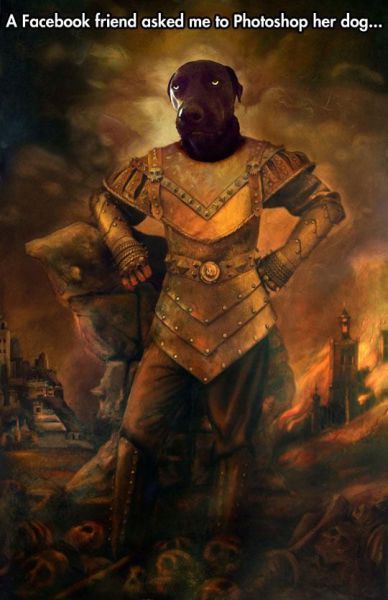 morning picdump 58 pics 24.html - 58 HD Photos | Premium Gallery 2014