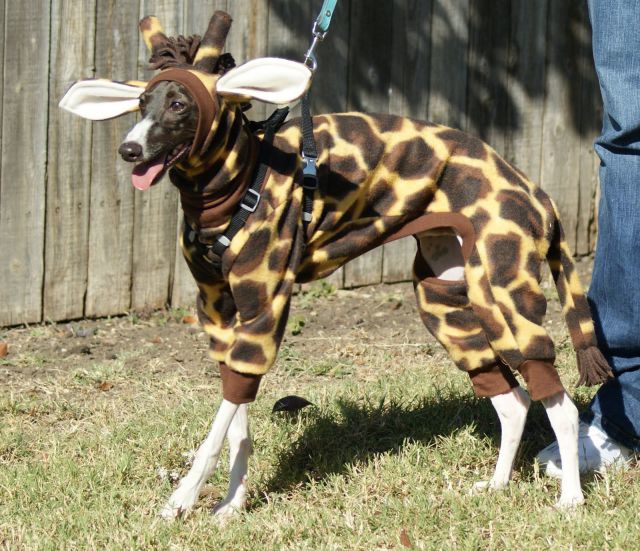 morning picdump 58 pics 24.html - 58 HD Photos | Premium Gallery 2014