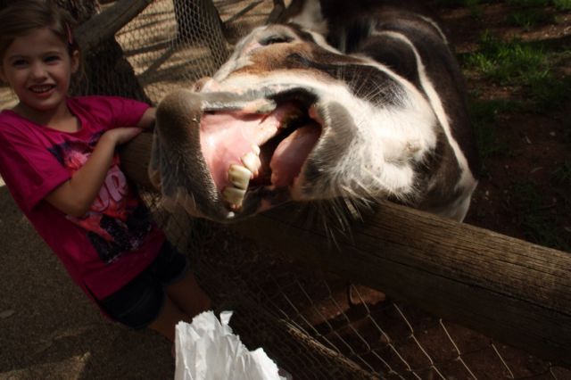 morning picdump 57 pics 3.html - 57 HD Photos | Premium Gallery 2014