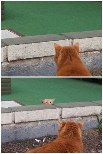 morning picdump 58 pics 25.html - 58 HD Photos | Premium Gallery 2014