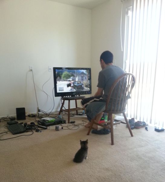 morning picdump 58 pics 25.html - 58 HD Photos | Premium Gallery 2014