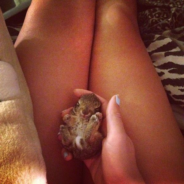 morning picdump 58 pics 25.html - 58 HD Photos | Premium Gallery 2014