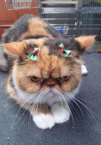 morning picdump 58 pics 25.html - 58 HD Photos | Premium Gallery 2014