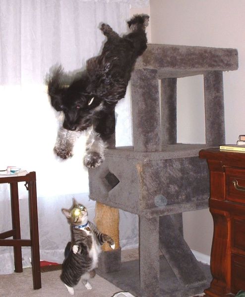 morning picdump 58 pics 25.html - 58 HD Photos | Premium Gallery 2014