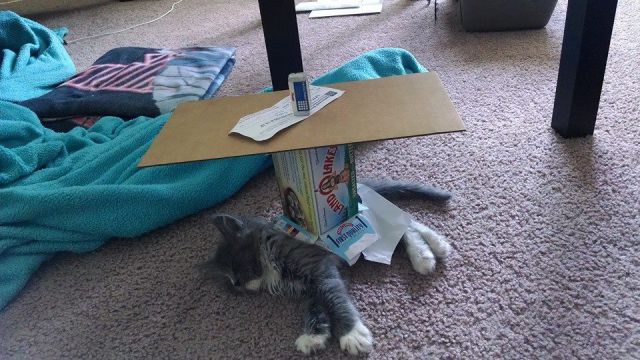 morning picdump 58 pics 25.html - 58 HD Photos | Premium Gallery 2014