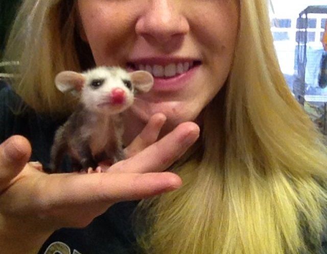 morning picdump 58 pics 25.html - 58 HD Photos | Premium Gallery 2014