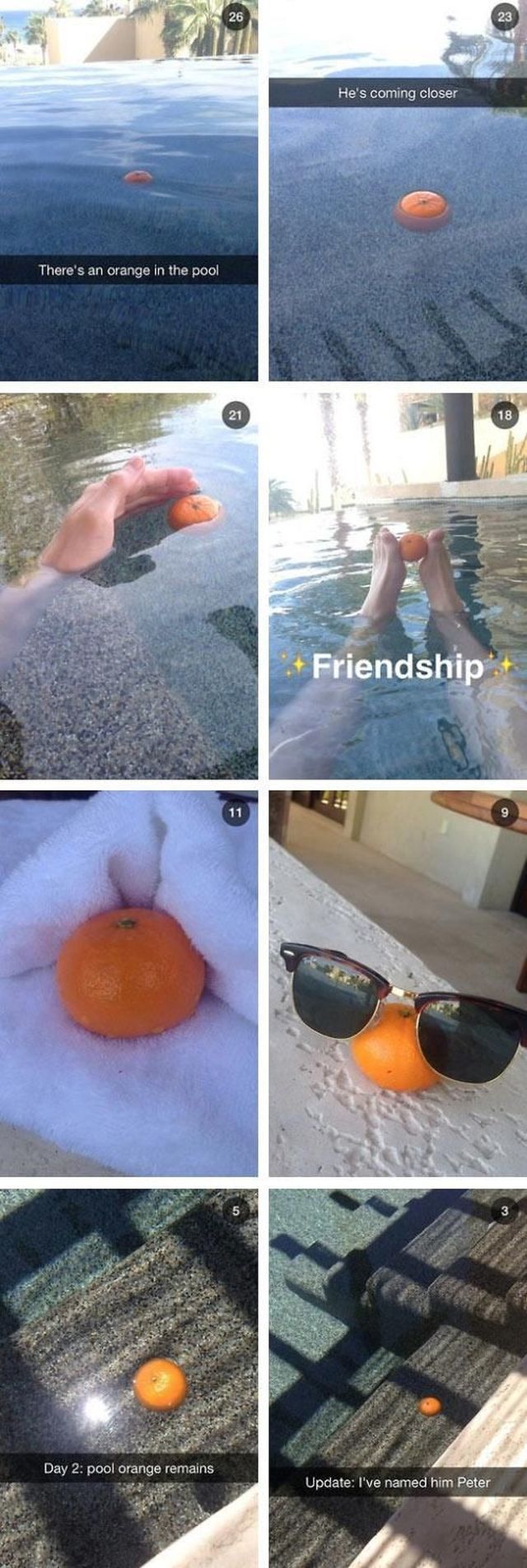 morning picdump 58 pics 25.html - 58 HD Photos | Premium Gallery 2014