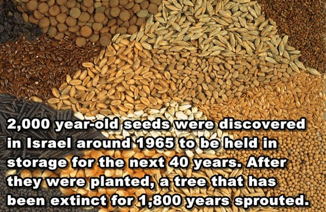 Interesting and Unusual Facts