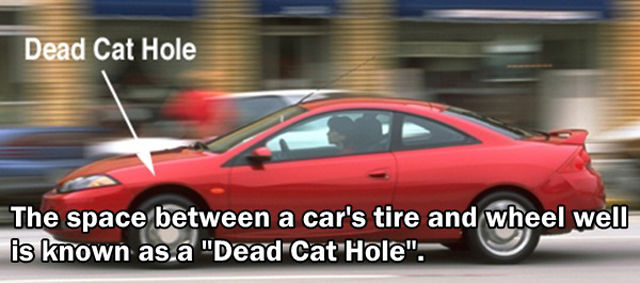 Interesting and Unusual Facts