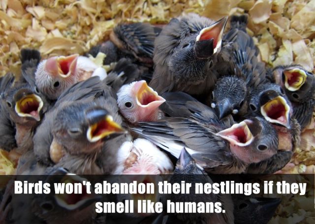 Interesting and Unusual Facts