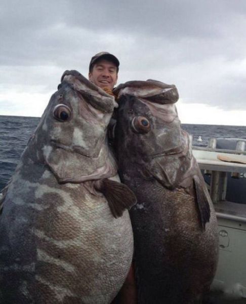 morning picdump 54 pics 21.html - 54 HD Photos | Premium Gallery 2014