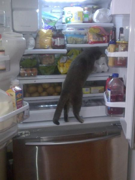 morning picdump 54 pics 21.html - 54 HD Photos | Premium Gallery 2014