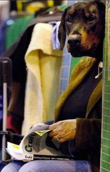 Brilliant Timing Creates Epic Photos