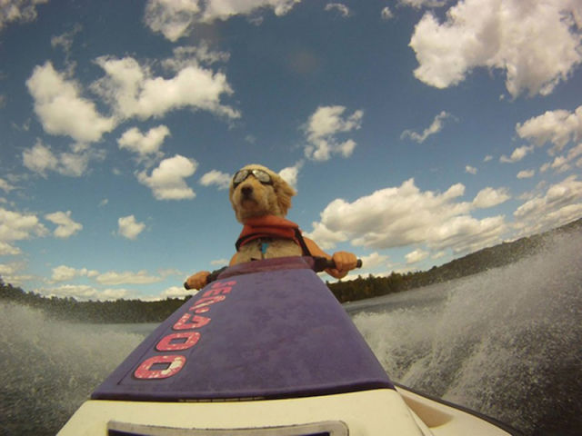 Brilliant Timing Creates Epic Photos