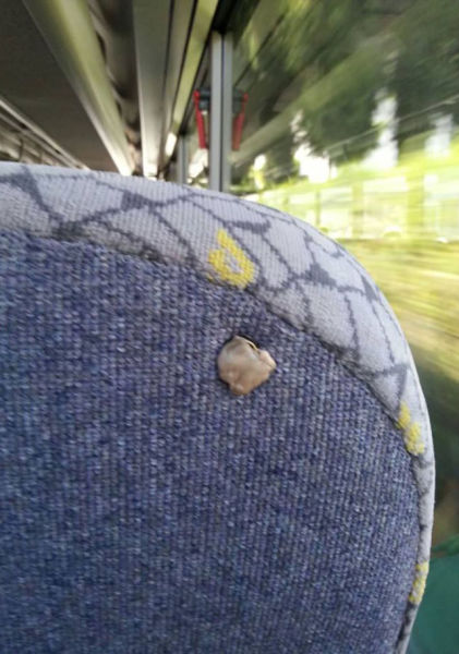 Where Do People Like This Even Come from?