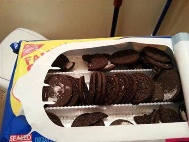 Where Do People Like This Even Come from?