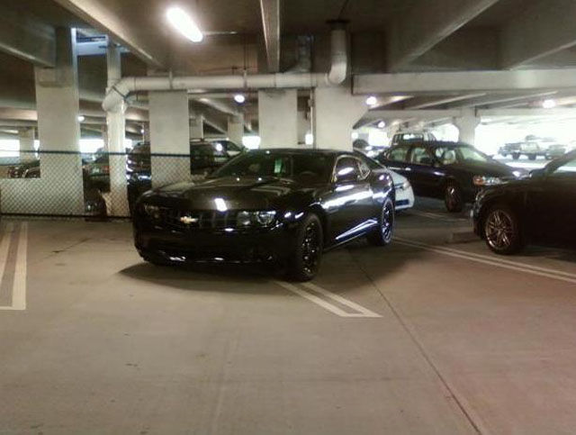 Where Do People Like This Even Come from?