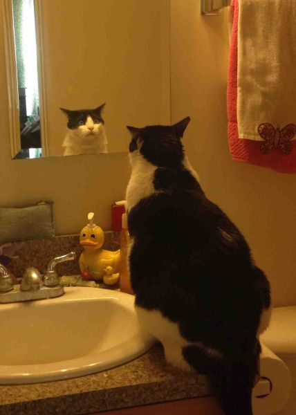 morning picdump 59 pics 1.html - 59 HD Photos | Premium Gallery 2014