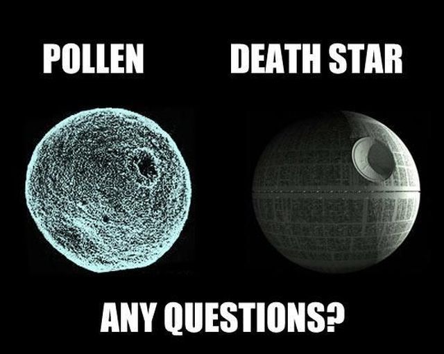 Morning Picdump