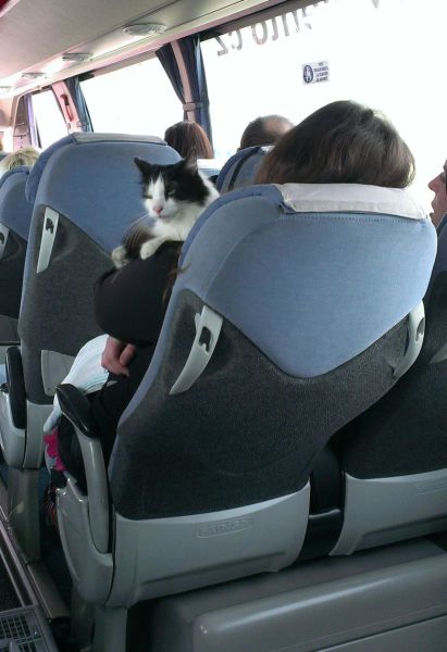 Morning Picdump