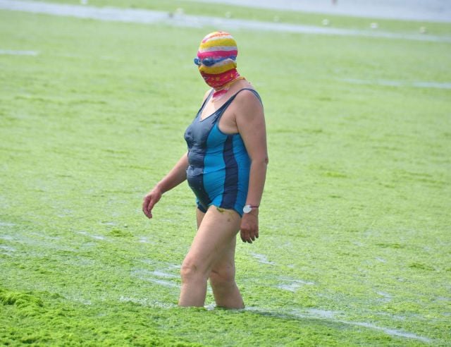 Just another Day at the Beach