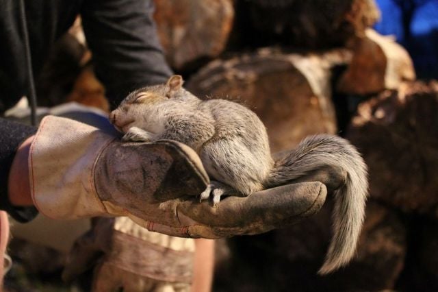 morning picdump 59 pics 21.html - 59 HD Photos | Premium Gallery 2014