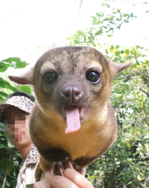 morning picdump 59 pics 21.html - 59 HD Photos | Premium Gallery 2014