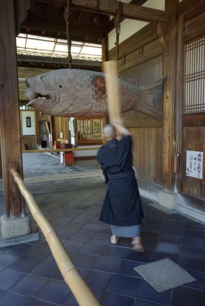 morning picdump 59 pics 21.html - 59 HD Photos | Premium Gallery 2014