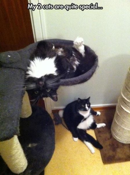 morning picdump 59 pics 21.html - 59 HD Photos | Premium Gallery 2014