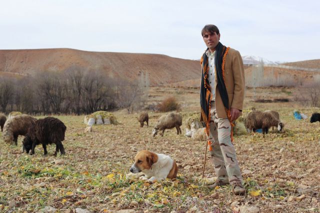 The Reality of Life in Iran