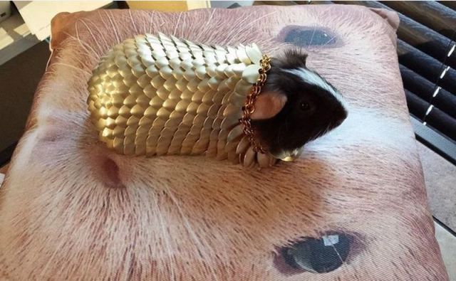 morning picdump 58 pics 3.html - 58 HD Photos | Premium Gallery 2014
