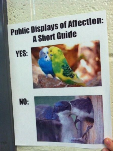 morning picdump 58 pics 3.html - 58 HD Photos | Premium Gallery 2014