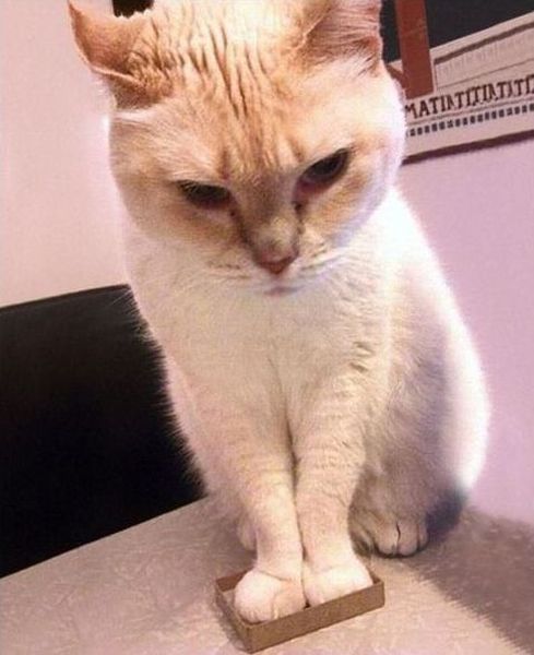 morning picdump 58 pics 3.html - 58 HD Photos | Premium Gallery 2014