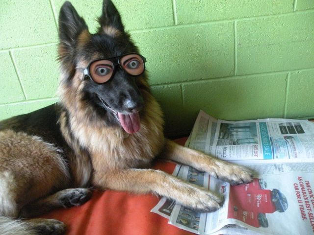 morning picdump 59 pics 5.html - 59 HD Photos | Premium Gallery 2014
