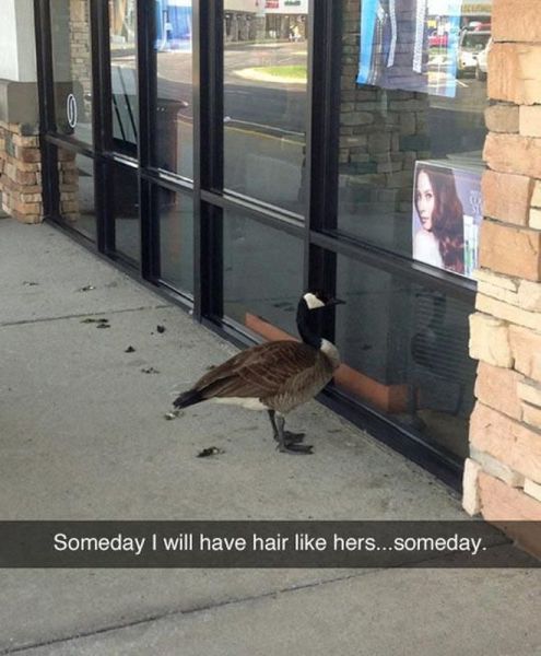 morning picdump 59 pics 5.html - 59 HD Photos | Premium Gallery 2014