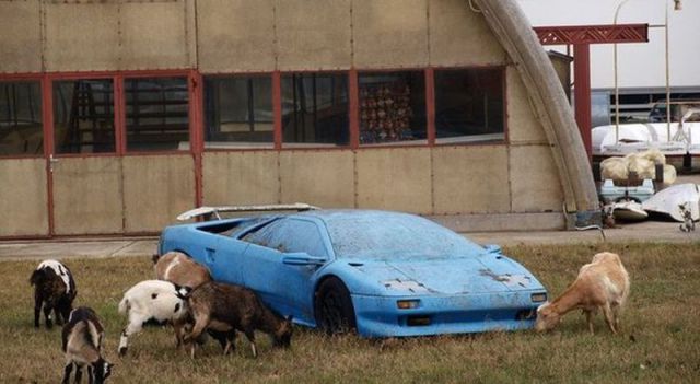 morning picdump 59 pics 5.html - 59 HD Photos | Premium Gallery 2014