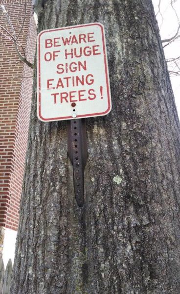 morning picdump 59 pics 5.html - 59 HD Photos | Premium Gallery 2014