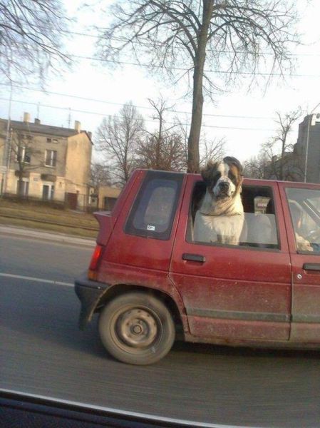 morning picdump 59 pics 5.html - 59 HD Photos | Premium Gallery 2014
