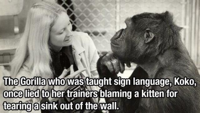 morning picdump 59 pics 5.html - 59 HD Photos | Premium Gallery 2014