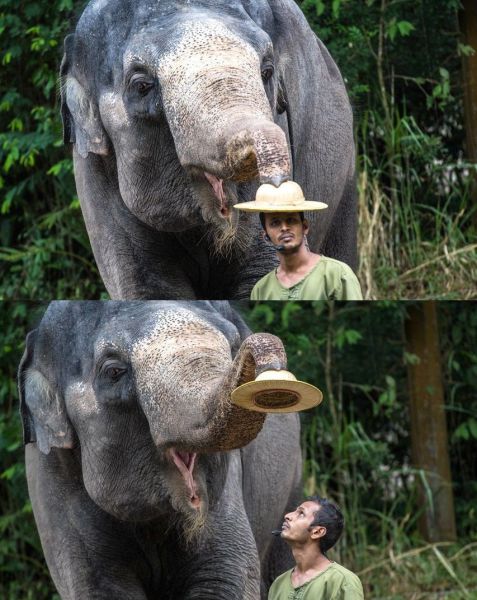 morning picdump 59 pics 5.html - 59 HD Photos | Premium Gallery 2014