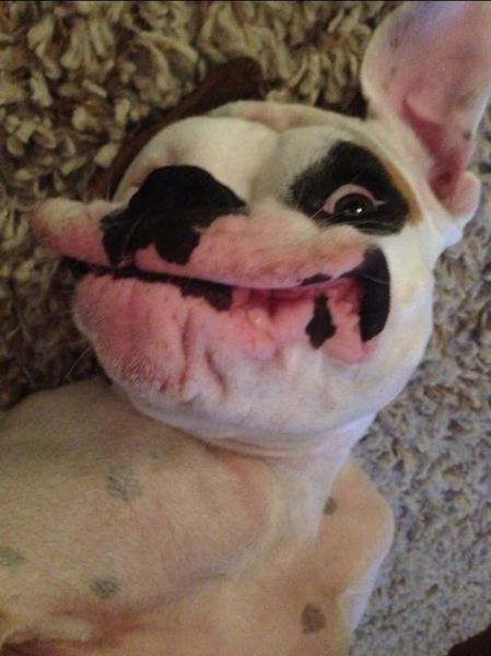morning picdump 57 pics 22.html - 57 HD Photos | Premium Gallery 2014