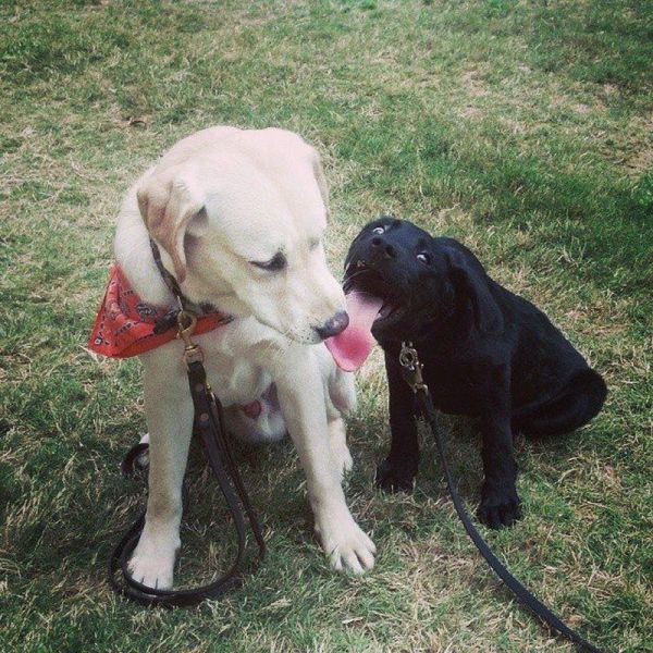 morning picdump 57 pics 22.html - 57 HD Photos | Premium Gallery 2014
