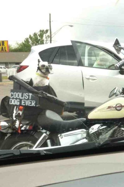 morning picdump 56 pics 11.html - 56 HD Photos | Premium Gallery 2014