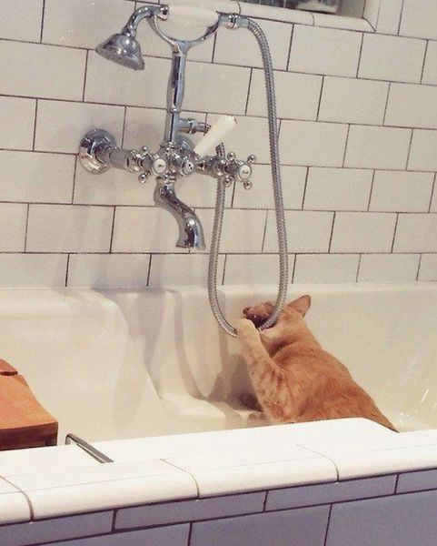 morning picdump 56 pics 11.html - 56 HD Photos | Premium Gallery 2014