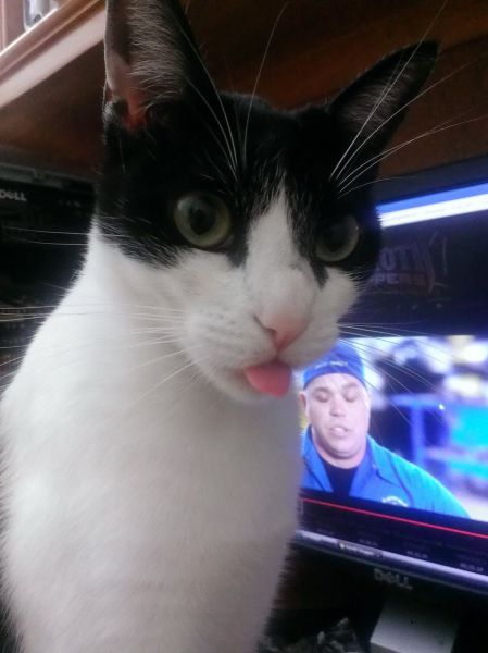 morning picdump 56 pics 11.html - 56 HD Photos | Premium Gallery 2014