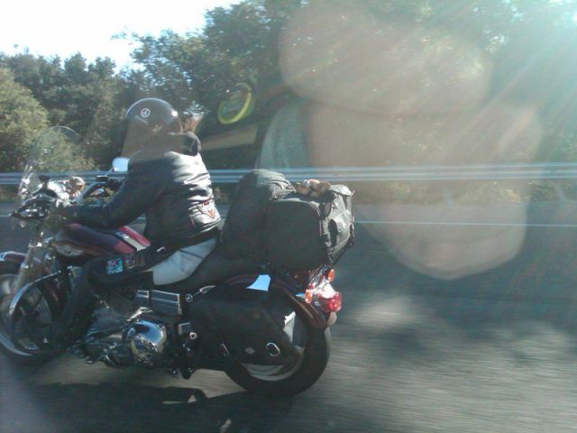 morning picdump 56 pics 12.html - 56 HD Photos | Premium Gallery 2014