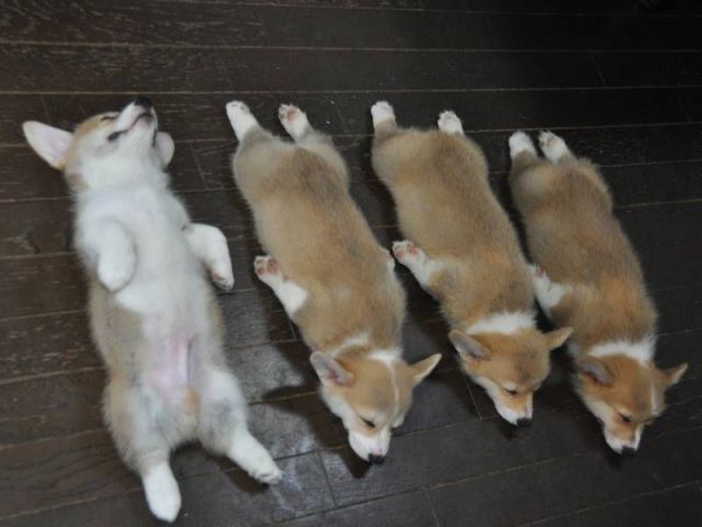 morning picdump 56 pics 12.html - 56 HD Photos | Premium Gallery 2014