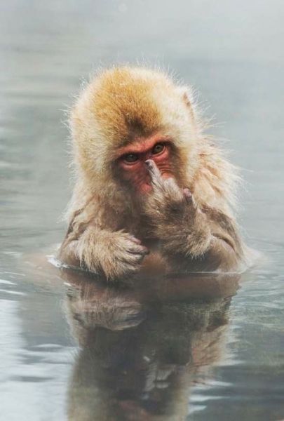 morning picdump 56 pics 12.html - 56 HD Photos | Premium Gallery 2014